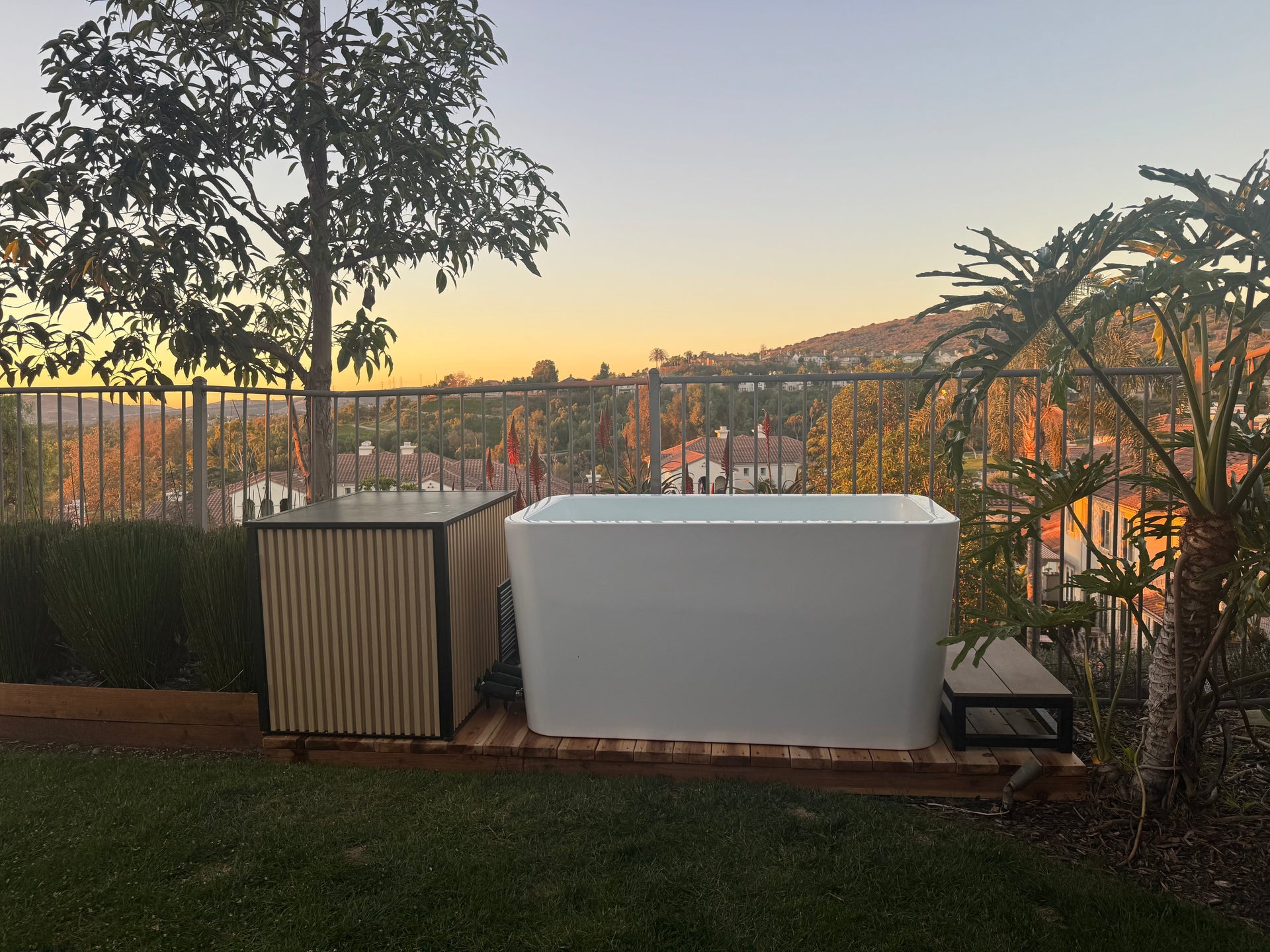 Cold Plunges