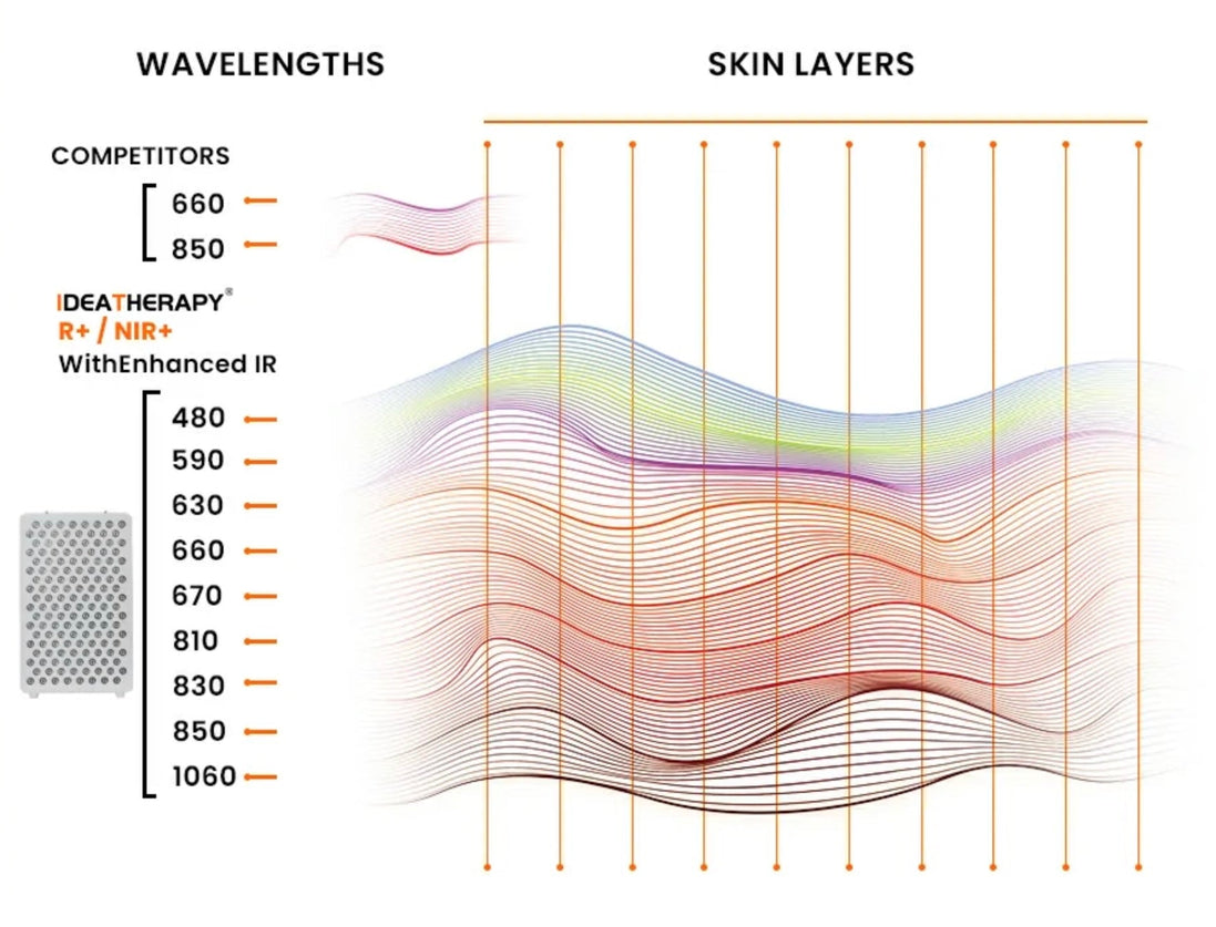 TimeLight – Professional 360° Multi-Spectrum Red Light Therapy System