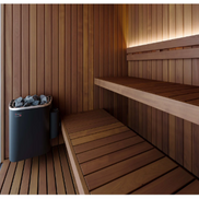 Mr. Steam Indo Sauna Room